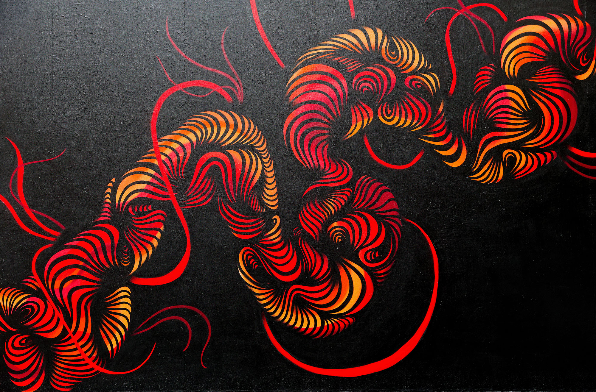 # 49 mur de Rennes Yoldie