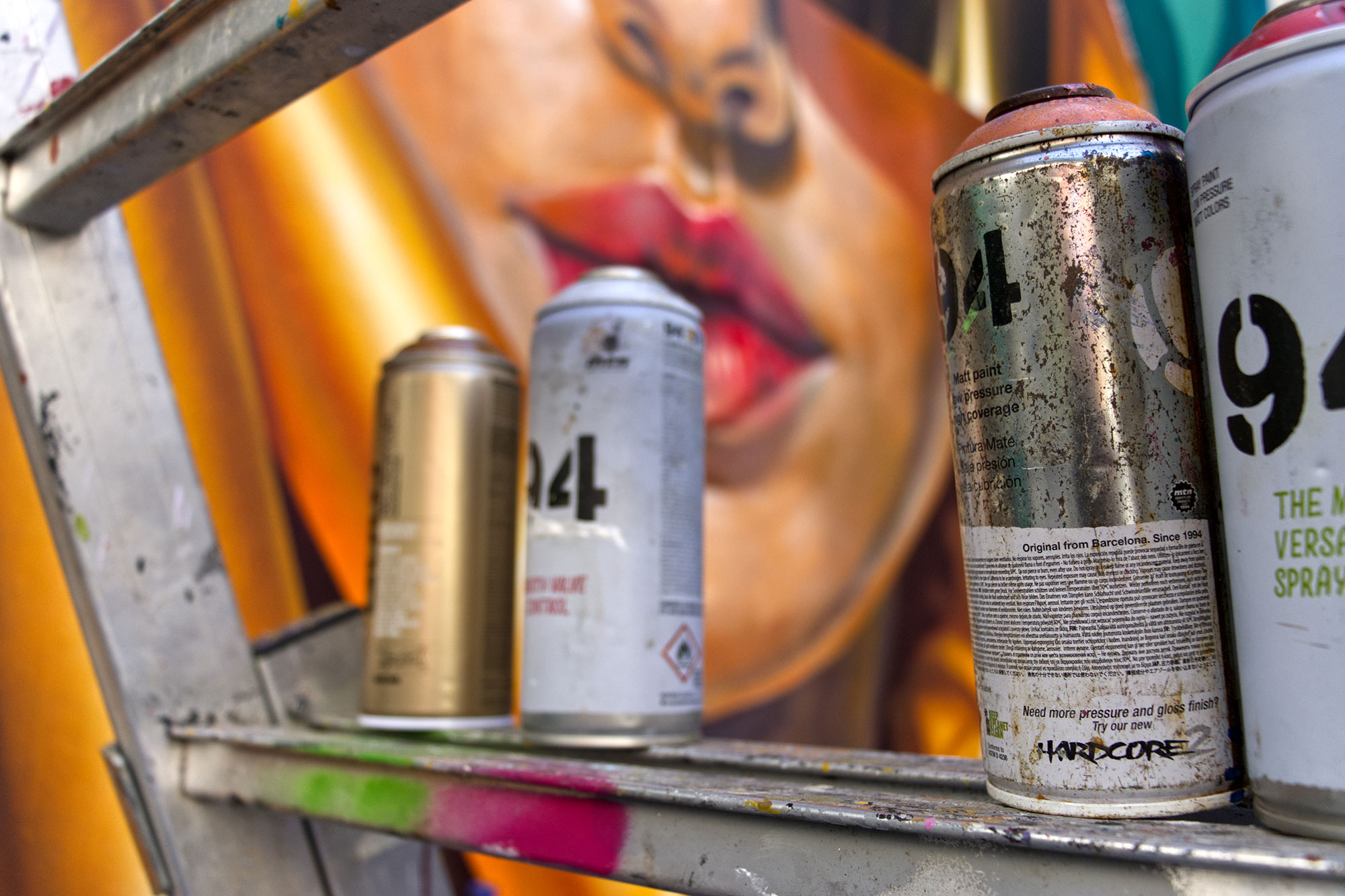 Skio Mur de Rennes # 54